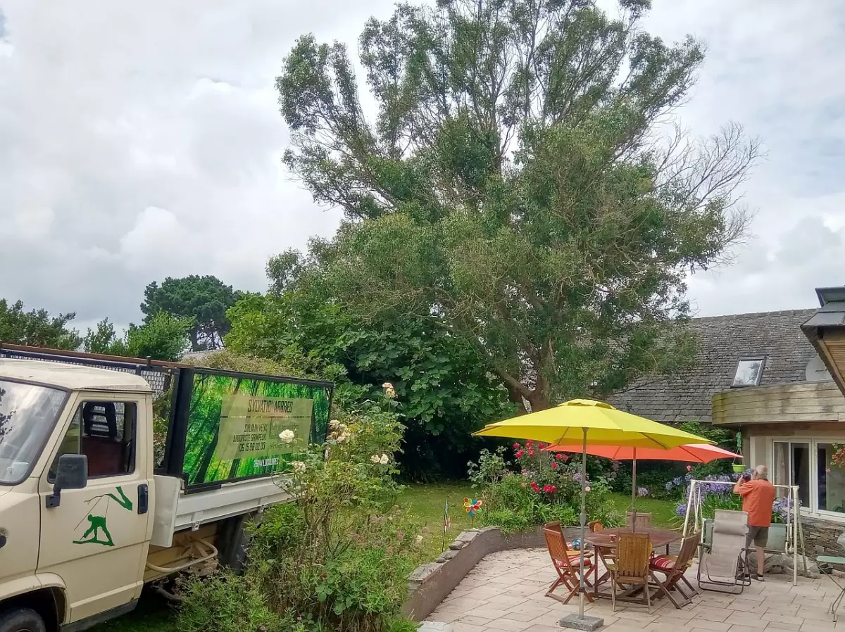 Taille et élagage à proximité d'une terrasse à Plouezoch